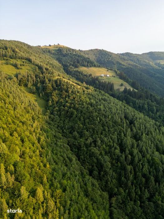Teren autorizat cabana /AC Muntele Rece Jud Cluj Napoca 30 km de Cluj
