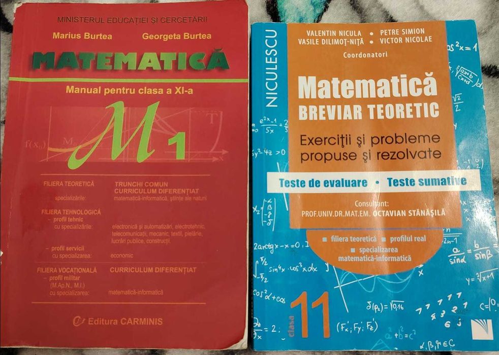 Culegeri pentru Bac și liceu: matematică X–XII, biologie, română.
