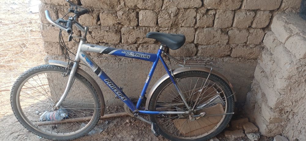 Velosepet phllips sotiladi