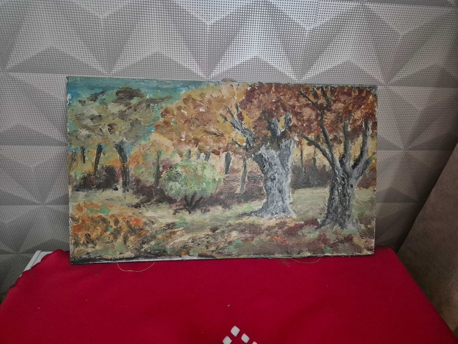 Vand tablouri pictate in ulei pe panza