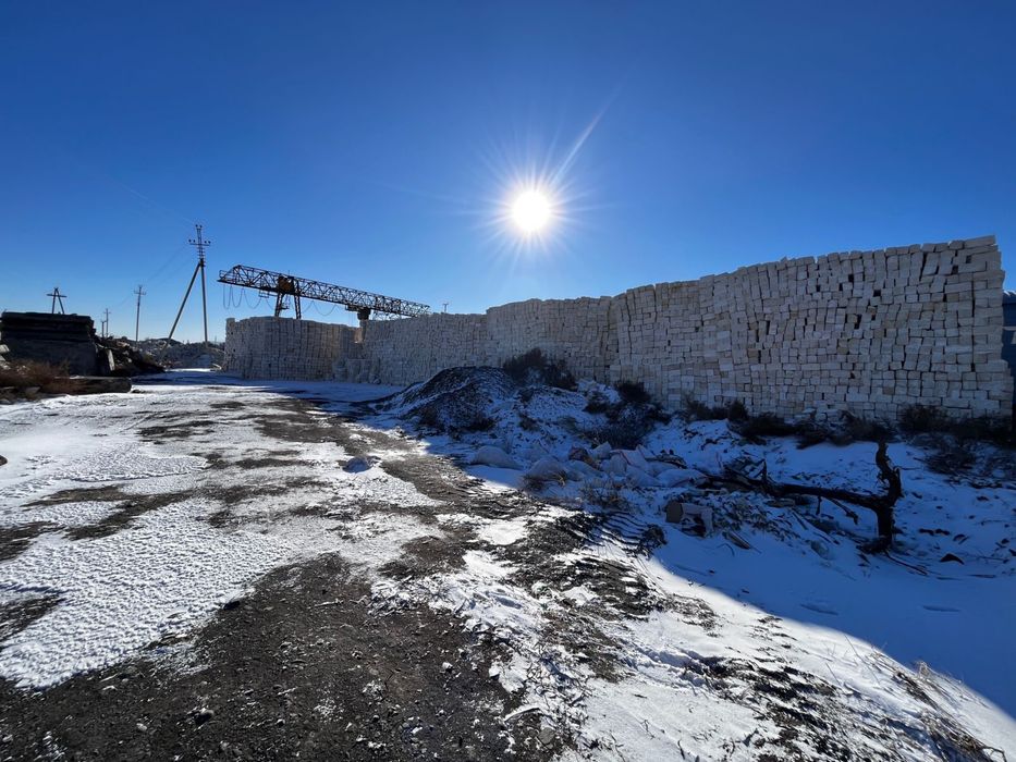 Ракушка высшей сорт стандарт