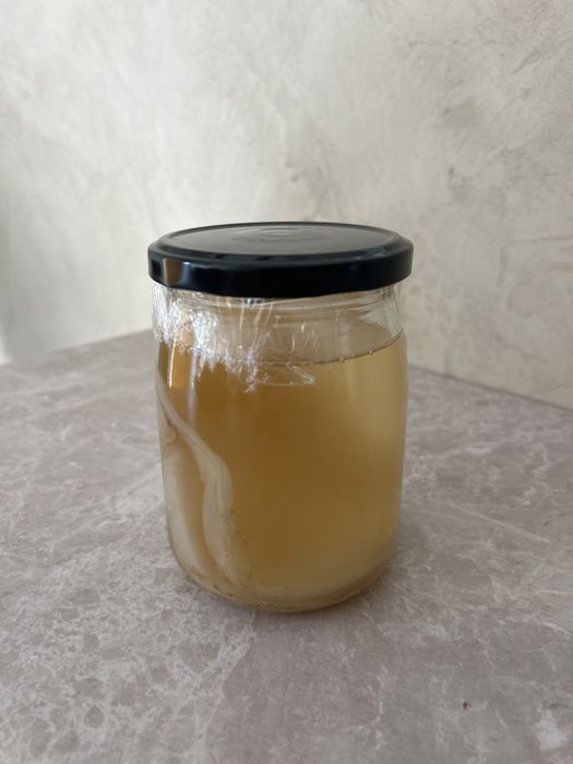 Kit Starter Kombucha - Ciuperca SCOBY + ceai fermentat