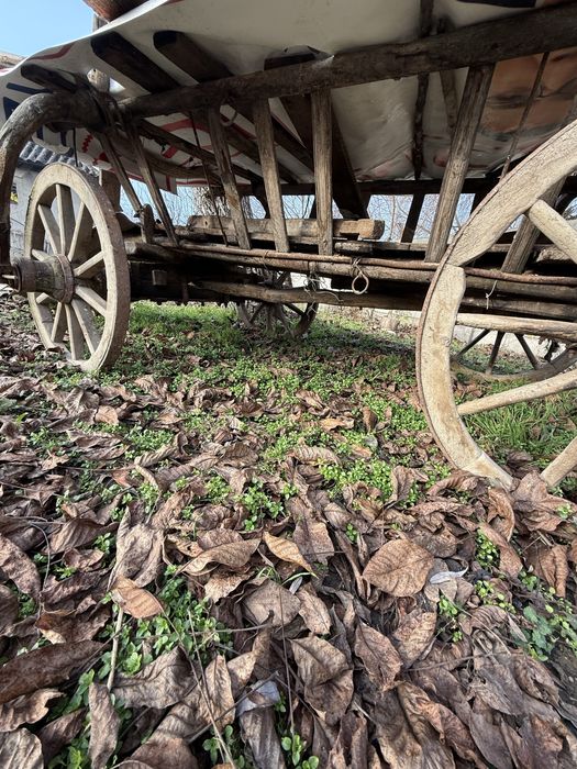 Car / caruță din lemn