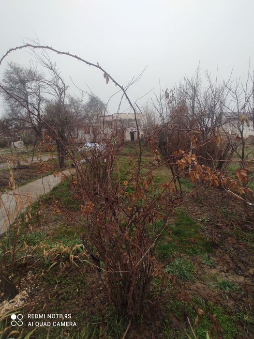 Тошкент кушконди Коксарой ер участка дом 6сотка