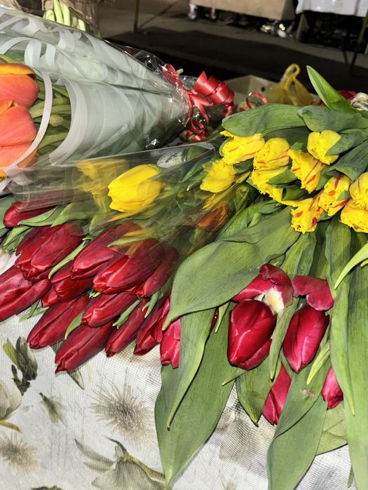 Тюльпаны на 8 марта