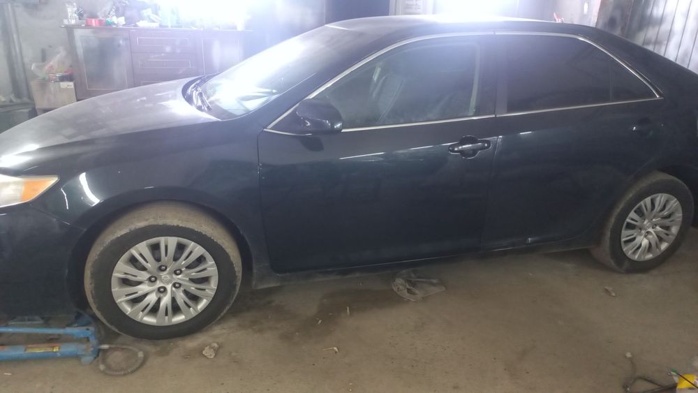 Услуги малярки костоправа