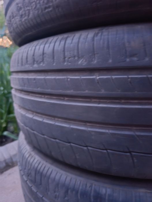 Шины Triangle 205/55/16