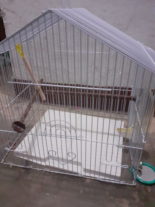 Colivie păsări  mici