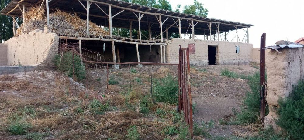 Дала ховли сотилади