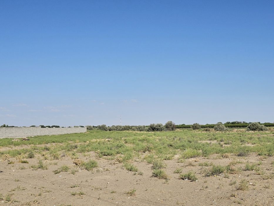 Участки в Туркестане