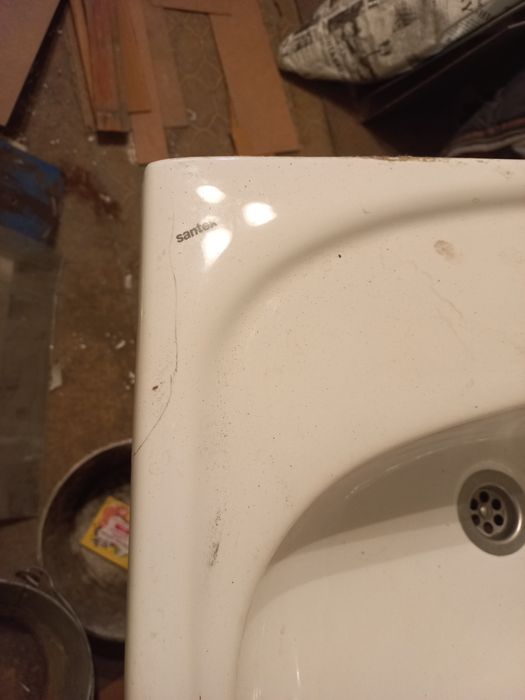 Продам тюльпан б/у,2 шт