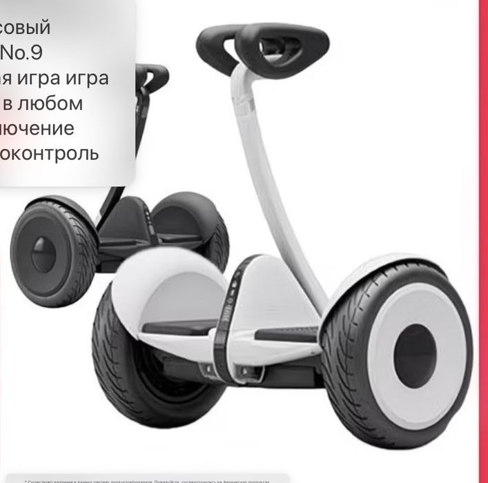 Segway Ninebot mini