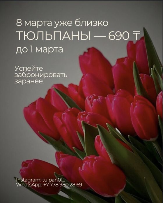 Тюльпаны, Астана