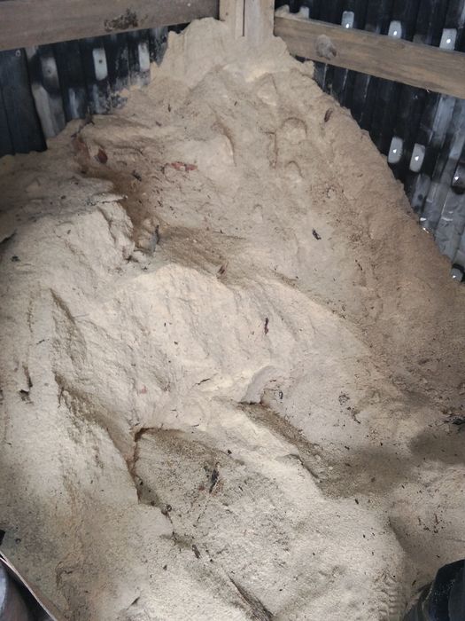 Продам 400 тенге