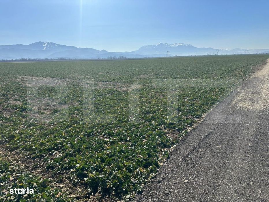 Teren de vanzare – 47.577 mp, Codlea, cu deschidere la DN1