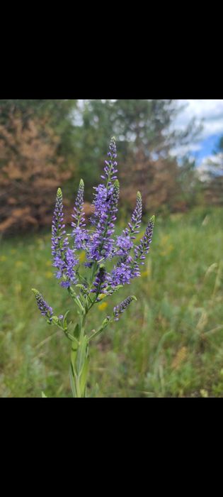 Продам участок под строительство