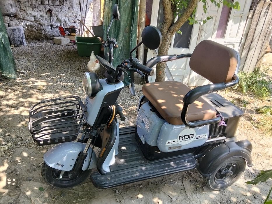 Mini triciclu Rdb