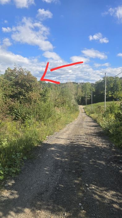 Loturi teren Poiana Campina, 30eur/mp,apa,curent,gata pentru construir