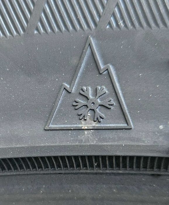 315/35 R20, 110V, GRIPMAX STATURE M/S XL, Anvelopa de iarna