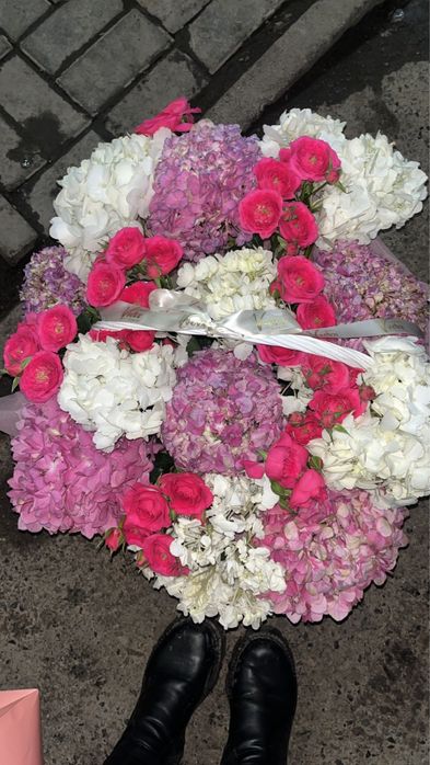 Гортензий больши