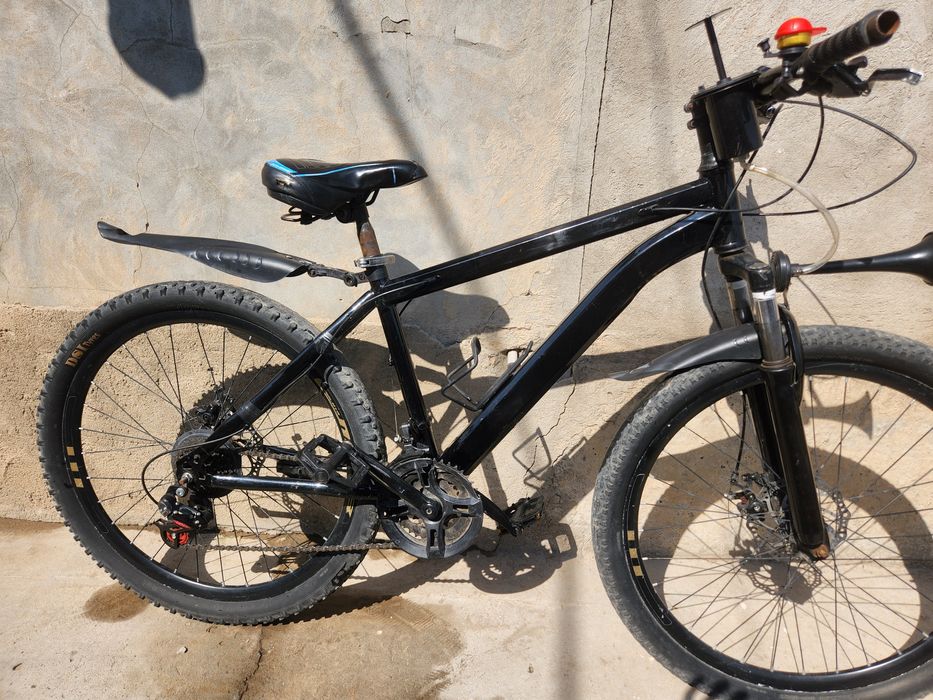 Велосипед 3 вида и канарейка