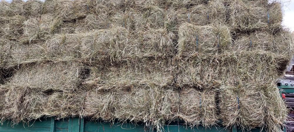 Baloți de fân,dreptunghiular,rotund! Baloți de lucernă!