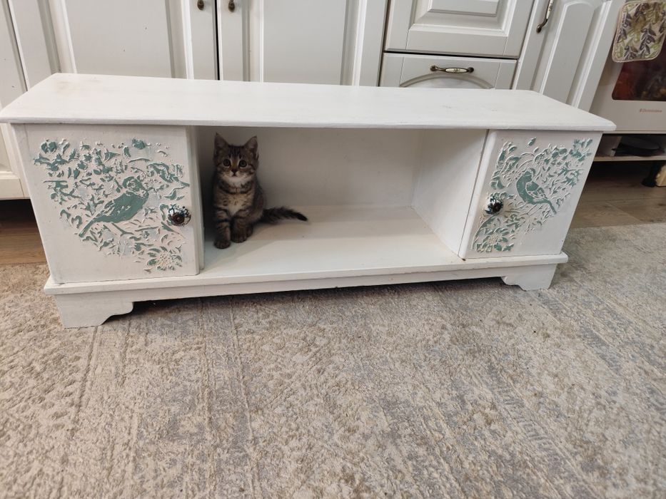 Тумба для обуви.  Из советской тумбы.