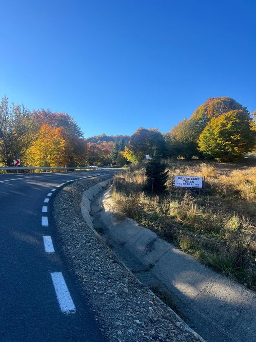 Teren Budești Maramures