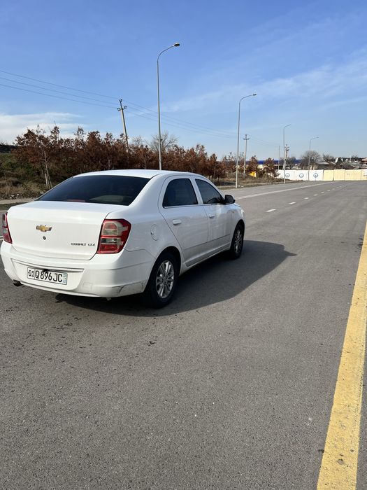 Gazi bor toza kobalt sotiladi