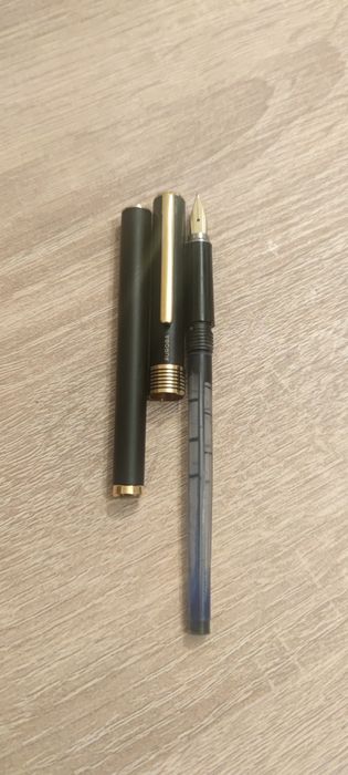 Stilou Aurora Marco Polo penita și elemente aurite