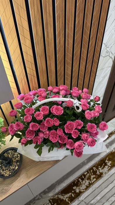 Свежий гул бугин алынған
