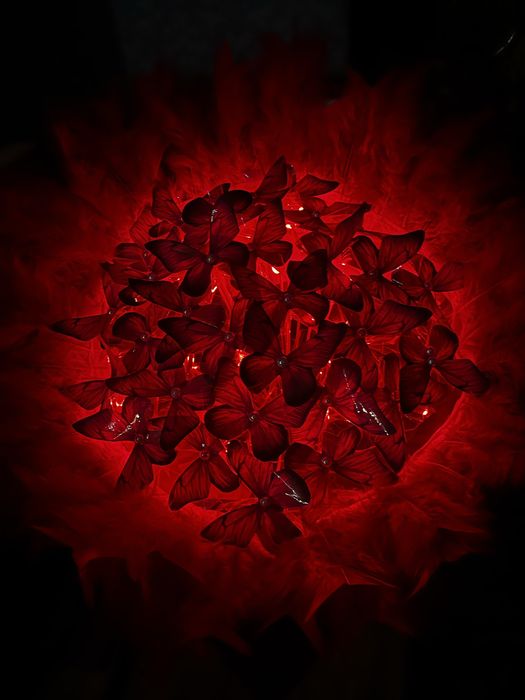 Букеты из бабочек во всех расцветках