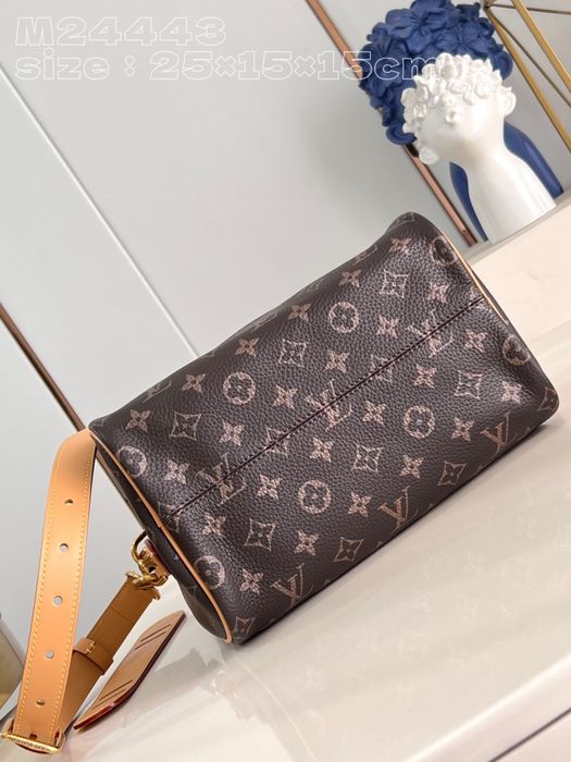 Geanta Louis Vuitton Speedy 25cm, tip Premium