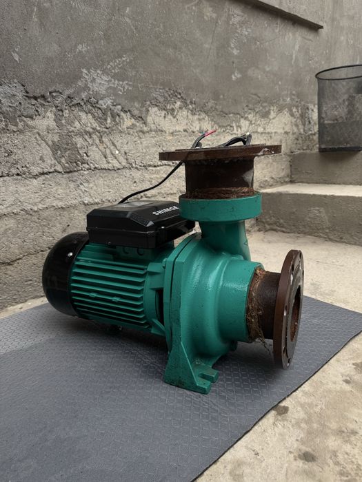 Shimge nasos srochni