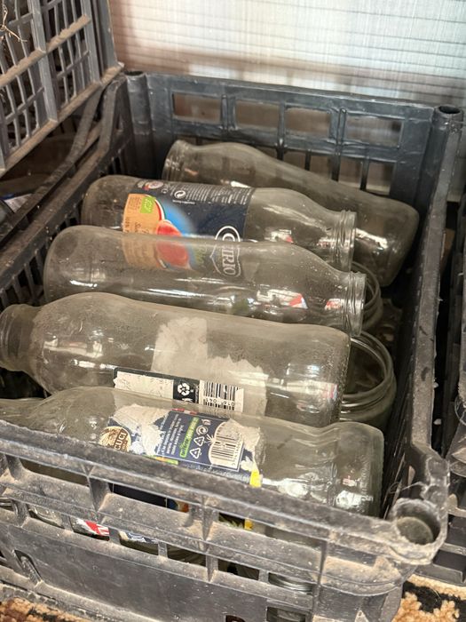 borcane din sticlă folosite (pentru gem, murături, sosuri)