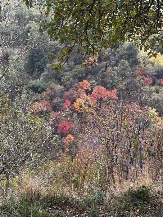 Продажа земельного участка