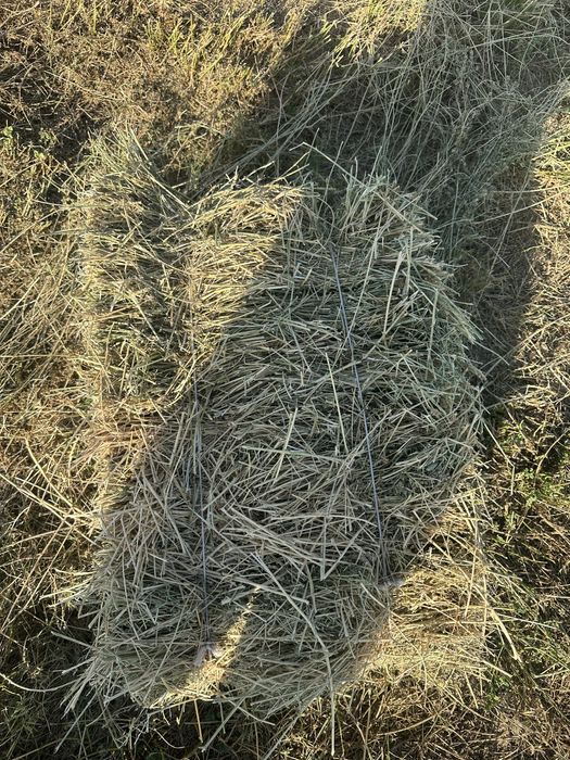 Beda press 40mingdan