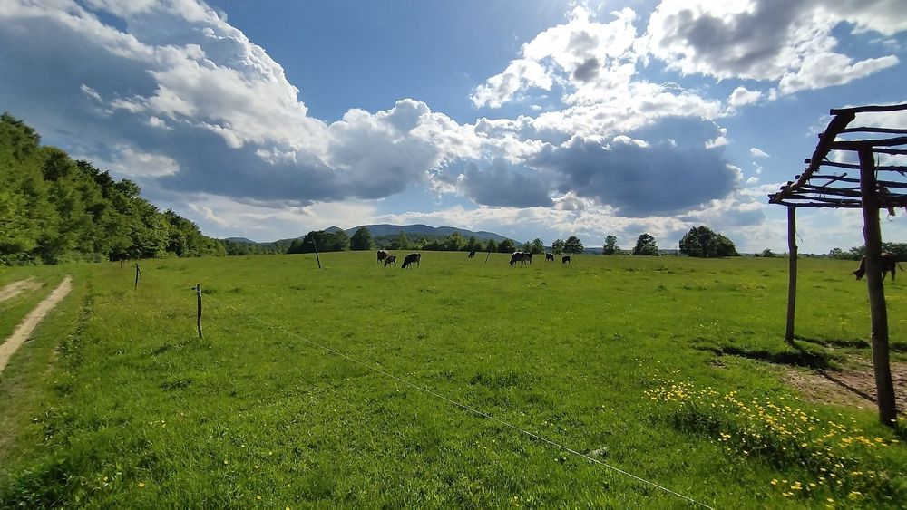 Продава се Земеделски имот в Елена -  кв.м за 2232 €/дка - Снимка #1