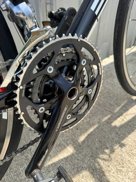 Cursiera Bulls Desert Falcon 1