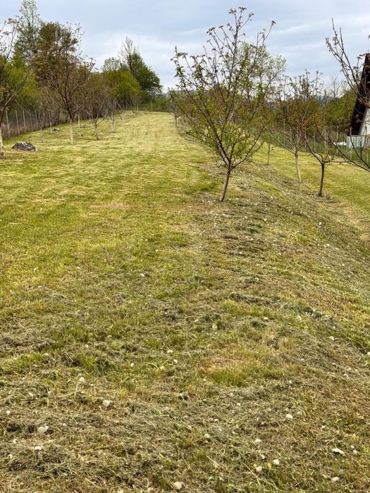 Teren de vanzare zona Valisoara Jud Alba