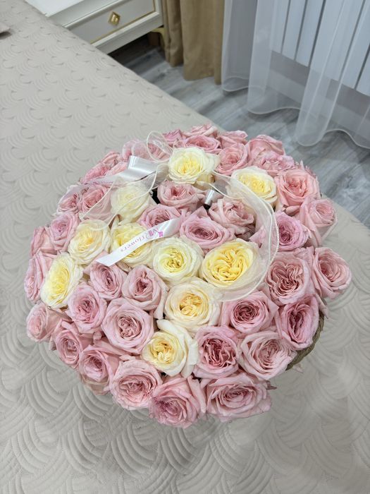 51 гт розаа түнгі 12де алынған свежый,