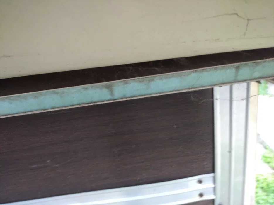 cusca caine talie mare