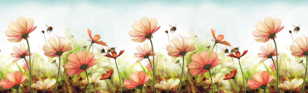 Кухонный фартук, Скинали, Стеновая панель