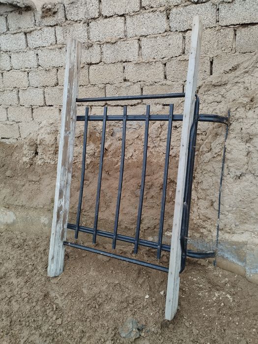 Tom Jguliga Baqvat Yaxwi Xolatda