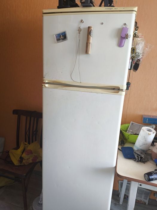 Холодильник Snaige