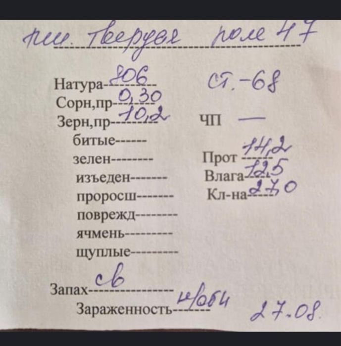 твердая пшеница от производителя
