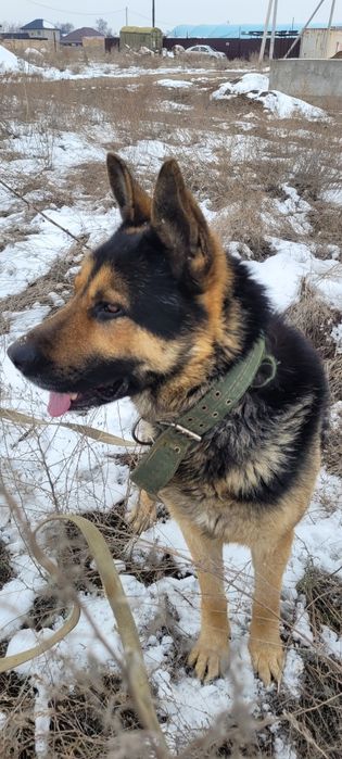 Кабель ВЕО готов к свиданию