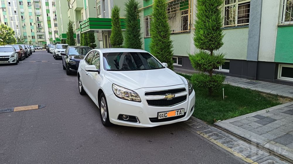 Malibu 1 pozitsiya
2012 yil
160 ming km
Faqat benzinda yurgan kraska y