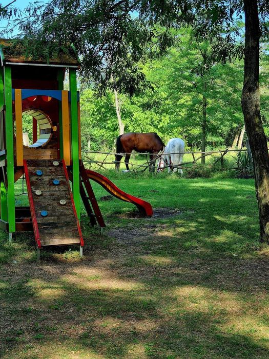 Дава се под наем Гараж / Паркомясто в Добрич, Дружба 3 - 280 кв.м за 1530 € - Снимка #15