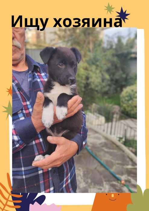 Чудо - энерджайзер ищет хозяина!